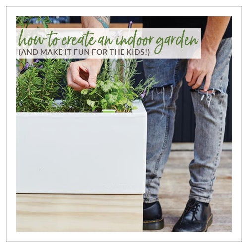 How To Create An Indoor Garden (And Make It Fun For The Kids!)