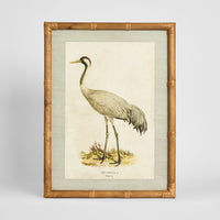 Heron Study B Wall Art