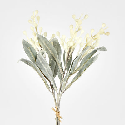Wattle Bundle White