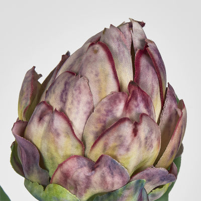 Artichoke Stem Burgundy